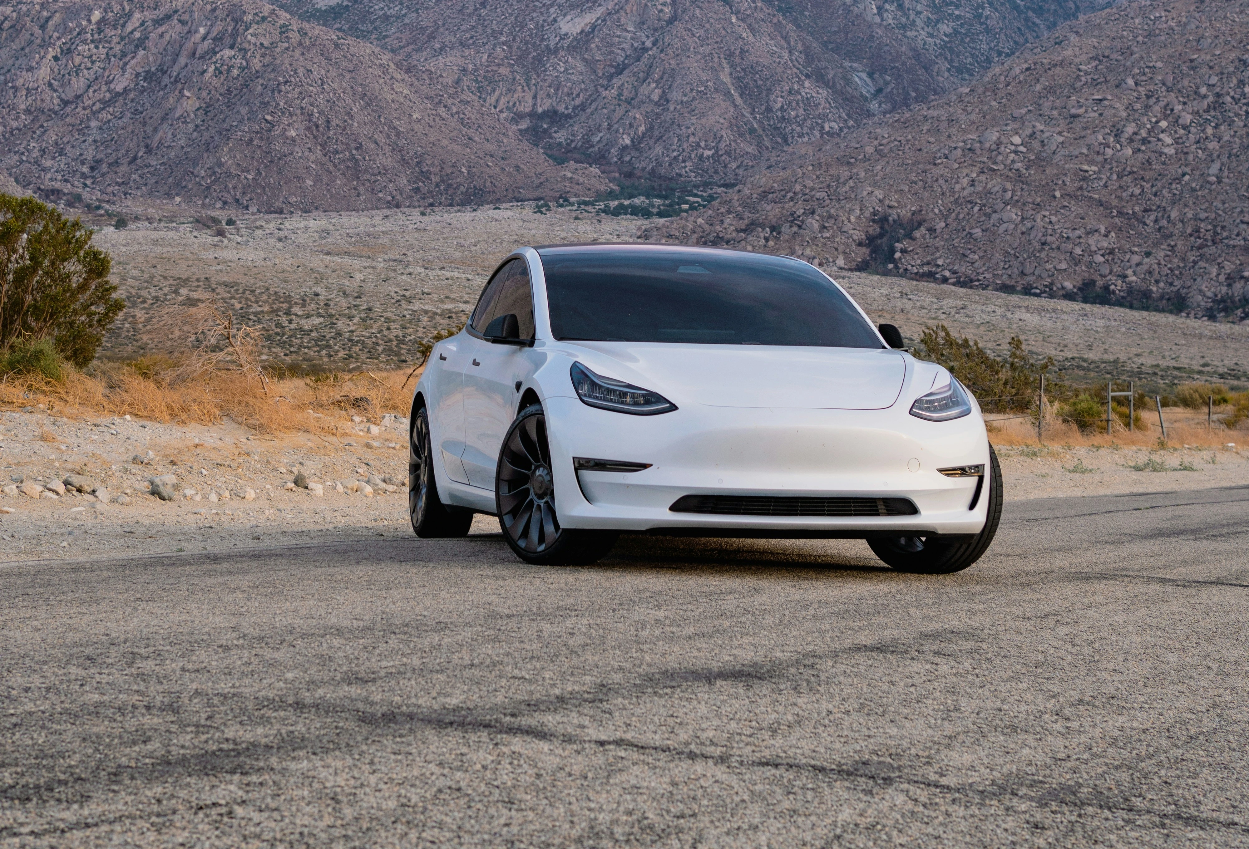 Tesla Partners with XPEL for Official Tint